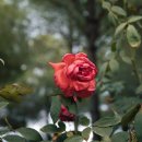 세마고등학교 이미지