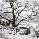 시골풍경 이미지