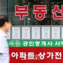 정보공인중개사사무소 이미지