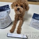 우리덴탈 | 강아지 치아 관리 본그린 HAp 덴탈껌 덴탈치약 사용 후기