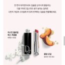 보누르 이미지