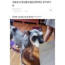 [공지] 7월 일상 (1)