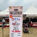 홍성 바베큐 페스티벌 후기 내년에 또한다면?