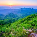 동봉의 별밤 이미지