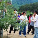 송학농원 이미지
