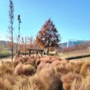 정자세천 이미지