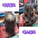 대전증모가발아카데미, 대전 증모가발교육은 s증모가발 에게로