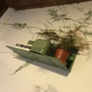 주 酒소 이미지