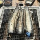 파라솔장어 네이버블로그