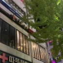 대전 관편동 빙수 맛집 엘가커피 카페 팥빙수 생망고빙수 추천