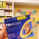 3층파란문약국 이미지