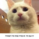 (Trip) 난 먹는 게 제일 중요해! [보라카이 음식 편]