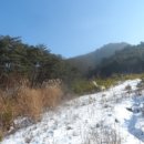 무릉도원면-7 이미지