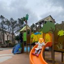 책놀이독서교실 | 겨울방학에 딱! 제주 탐라도서관 어린이 그림책 독서교실 첫 참여 후기