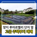 백암좋은 공인중개사사무소 이미지