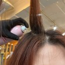 찰스리헤어테크 평택터미널점 채원디자이너님께 염색 받고 온 후기