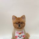 유니펫 - 창녕군 우포2로 1084 | 유니펫