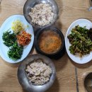 육거리보리밥