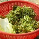 동춘기업(주) 이미지