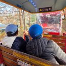 바람 속 춤사위, 부채산조 | 11월 한국민속촌, 단풍과 크리스마스 트리가 만난 특별한 풍경