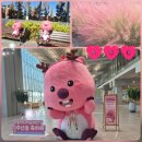 국립아시아문화전당 3주년 이벤트 | 아문당 루피 국립아시아문화전당 10주년 잔망루피 포토존 &amp; 가을 풍경 후기