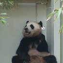 쓰담쓰담 이미지