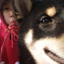 봉구