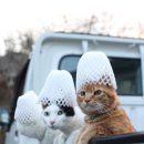 공장 신축공사 이미지