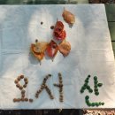 오서산자연휴양림 | 충남 보령시 "오서산자연휴양림" 가을여행 후기