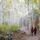 하얀도화지 이미지