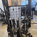 펠리스짐 이미지