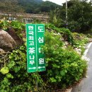 도심다원 이미지