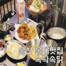 속닥속닭(치킨) | 울대맛집, 울산대 근처 닭발 하면 속닥속닭