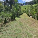 서들농장 이미지