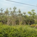 청북유치원 이미지