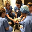 (주)윈메디칼 이미지