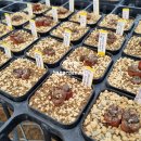 홍문농장 이미지