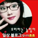 보은대추한과 유과셋트 명절선물로 정했다‼️