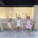 엘림무용학원 이미지