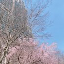 대청공원 공중화장실 이미지