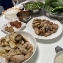 (주)럭키주유소 | ✨ 제주도 한달살기 첫째주 일정 (제주에인감귤밭, 연돈, 모알보알, 빛의벙커)