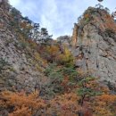 모리의 언덕 이미지