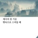 이명애