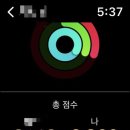 스테이 이브 이미지