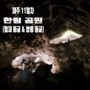 쌍룡산어린이공원 | 차】 여름 피서지 제주갈만한곳 협재동굴 쌍룡동굴 한림공원 주차 우리나라 최초 야자수길 재암민속마을...