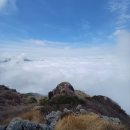경북드론고(급식실) | (원거리 산행) 비슬산 참꽃 산행