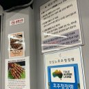 덕성식당 - 홍성군 당간길 7 | 덕성여대 양꼬치 맛집 선양 식당 후기 | 강북구 가성비 저녁·술안주 추천 (메뉴·가격 총정리)