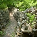 강릉 노추산 힐링캠프 이미지