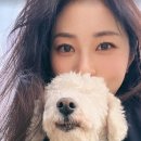 현대고양이 - 용인시 기흥구 신갈로 20-1 | 현대고양이