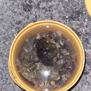 비소라건설(주) | 인천 선재도 야간 해루질 후기(박하지, 소라, 왕갱)